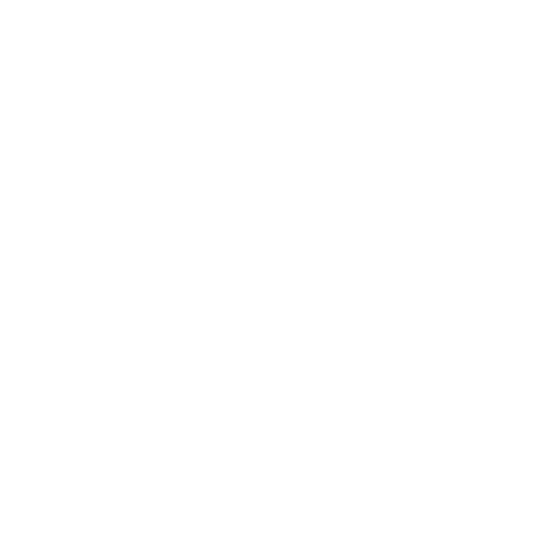 nachrichtenvogel